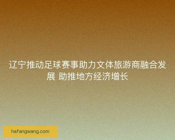 辽宁推动足球赛事助力文体旅游商融合发展 助推地方经济增长